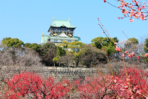 大阪城と梅林