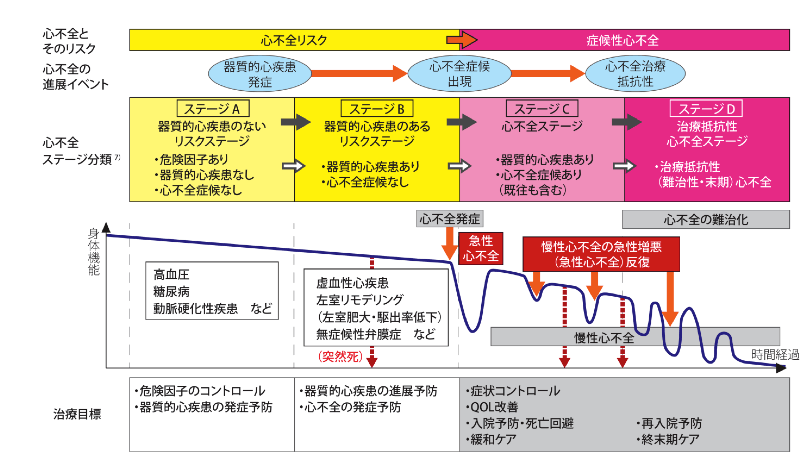 急性・慢性心不全診療ガイドライン2017版より抜粋