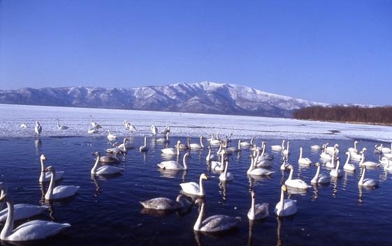 画像：屈斜路湖