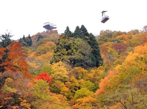 画像：ロープウェイと紅葉