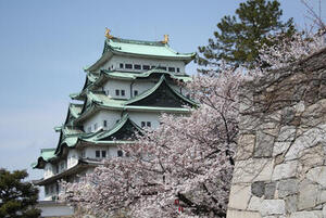 画像：名古屋城