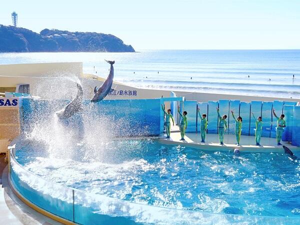 画像：新江ノ島水族館