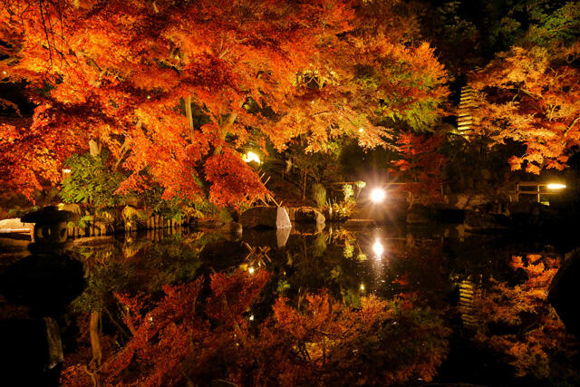 画像：長谷寺紅葉ライトアップ